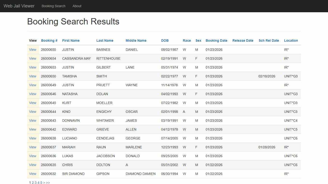 BookingSearchDetail - Web Jail Viewer